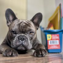 The Kind of Sick No One Talks&nbsp;About