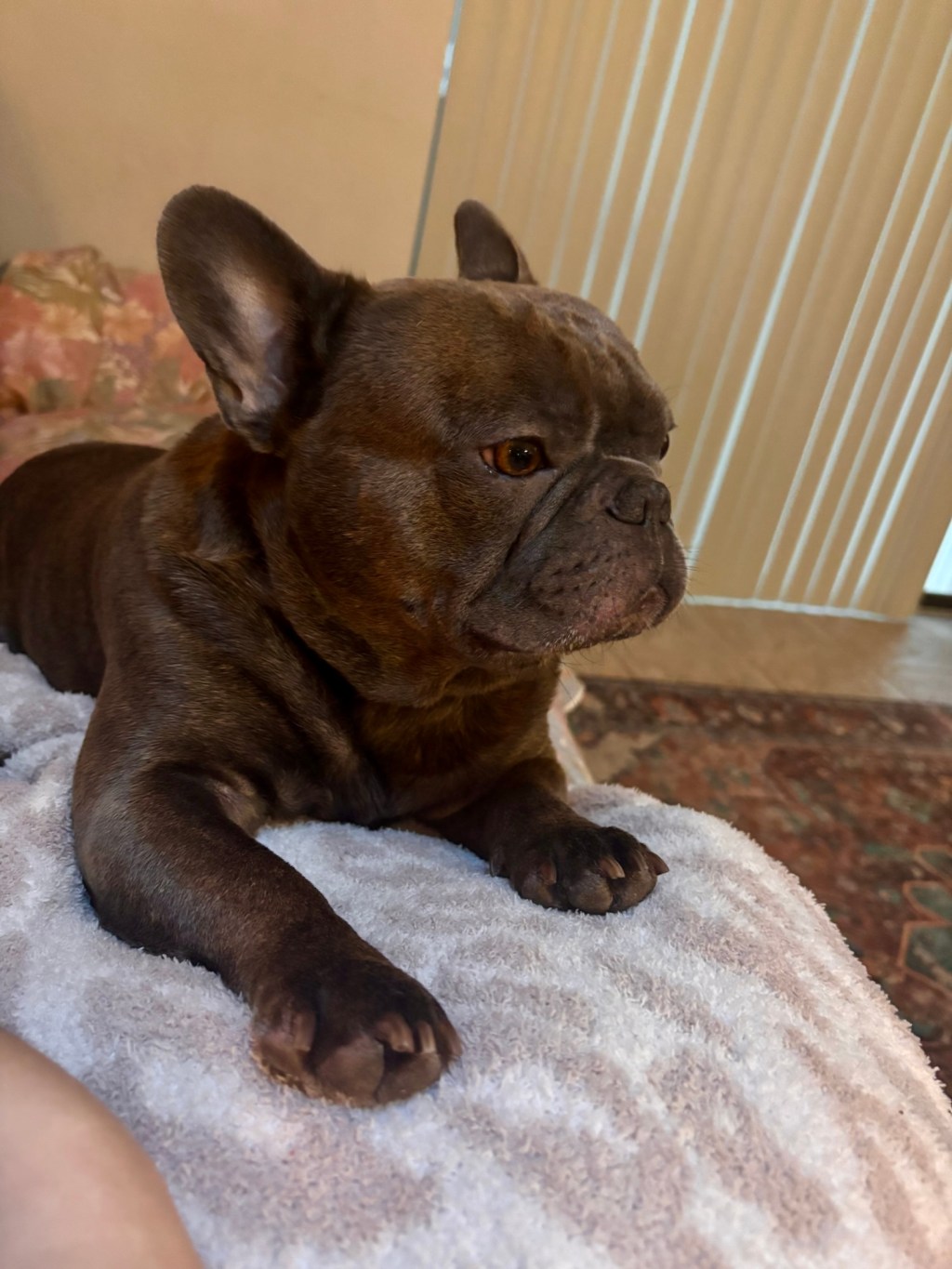 Today Was a “Barely Existing” Kind of&nbsp;Day