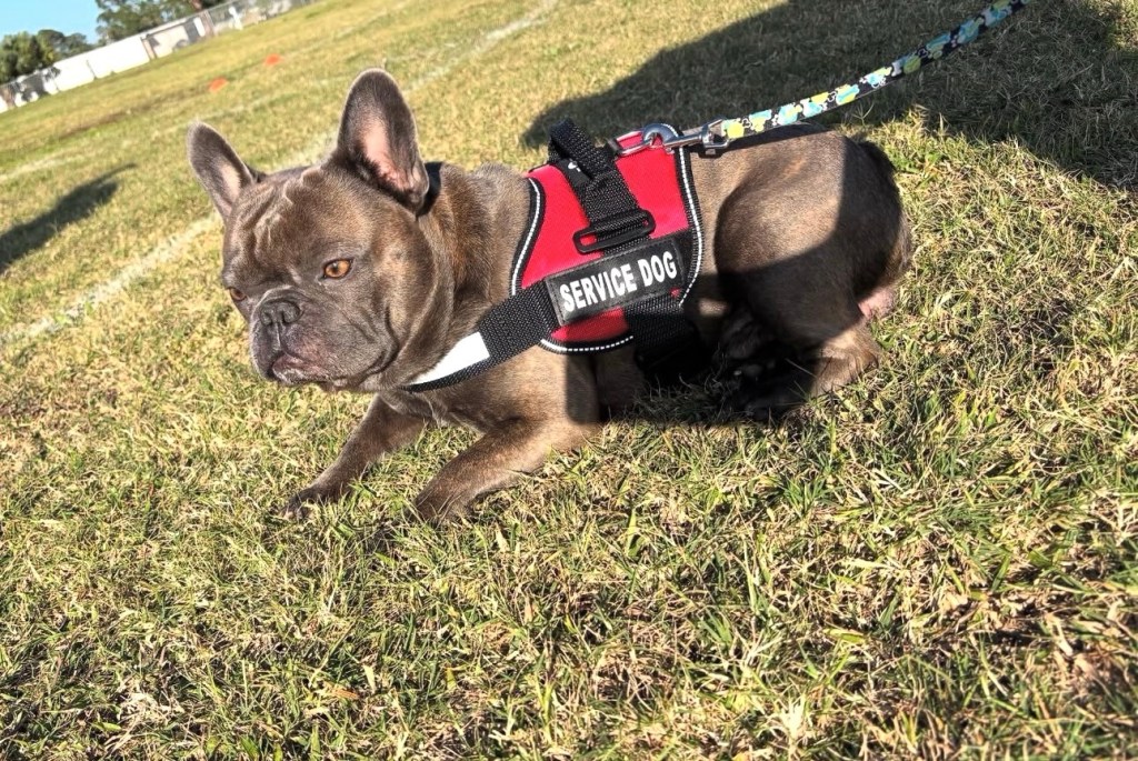 Today, I’m Grateful for&nbsp;You