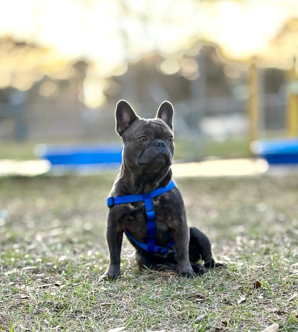 Stage Four Is Not a&nbsp;Season