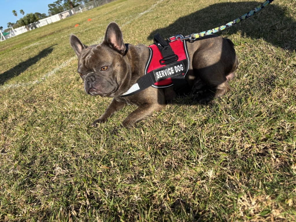 Living on Borrowed&nbsp;Energy