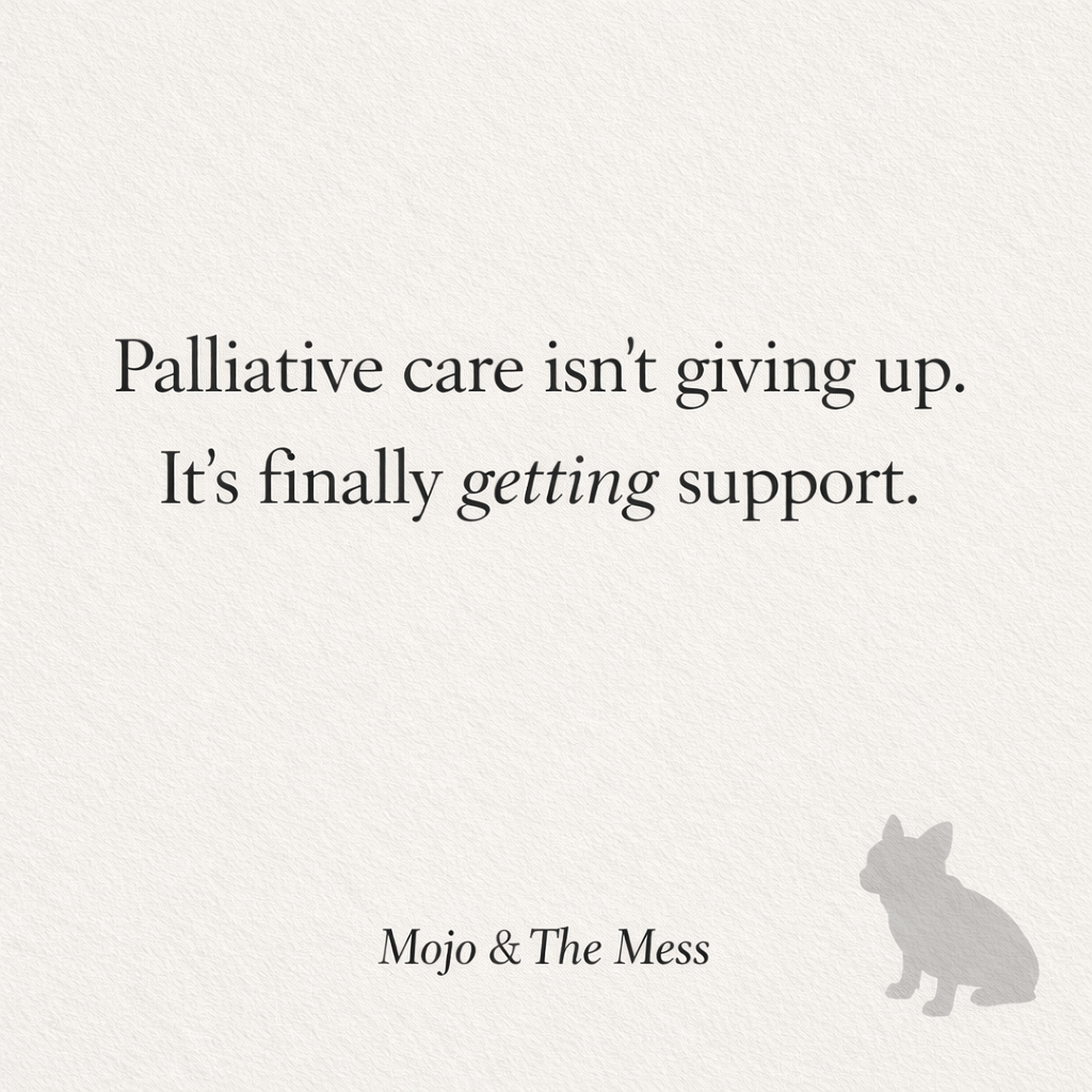 What Palliative Care Really Is (And Why It’s Not Giving Up)