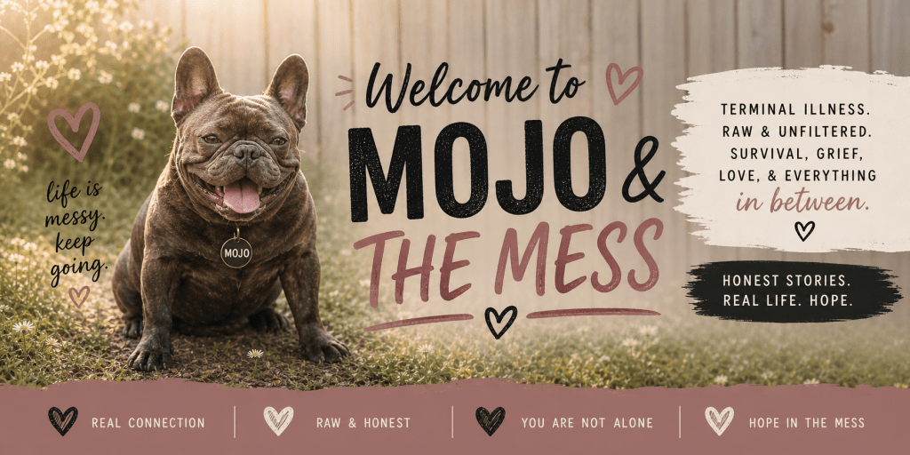 Start Here: Welcome to Mojo & The&nbsp;Mess