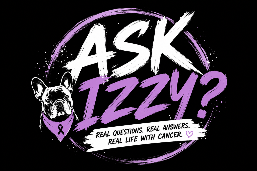Introducing: Ask Izzy 💛